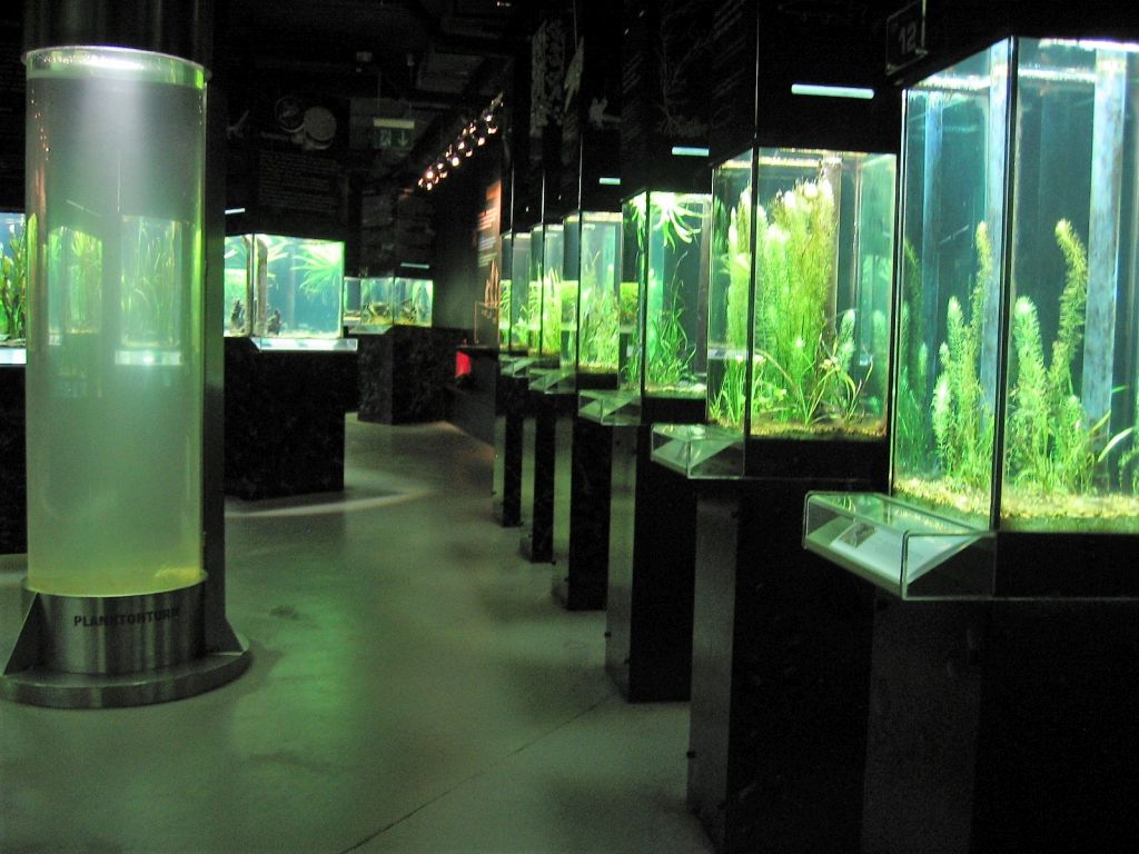 UnterWasserReich - Naturpark Hochmoor Schrems, Einblick in Ausstellung (© Museumsmanagement Niederösterreich)